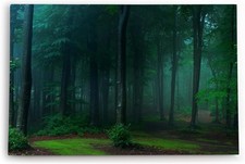 120x80cm Wandbild Dunkler Wald