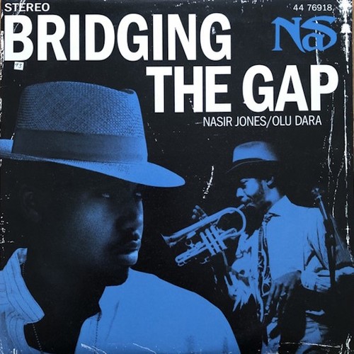 Nas bridging the - -, vinyl