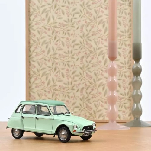 Citroen dyane 1983 jade - citroen,