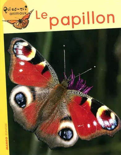 Papillon violette rennert - le,