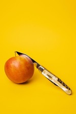 Taschenmesser Robi Klaas