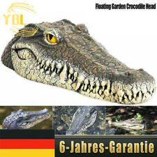 Schwimmtier Krokodil Water