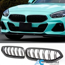 Kühlergrill Nieren Sport