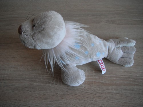 Nici seehund robbe heuler - seehund,