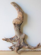 Treibholz Schwemmholz