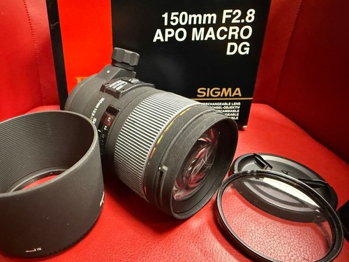 Sigma nikon 150mm - nikon, macro
