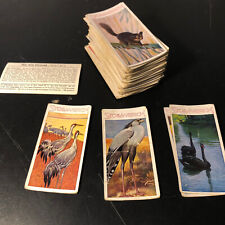 179 Stollwerck Sammelbildchen