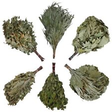 Saunaquast Saunareisig Sauna