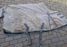 Regendecke Felix Brühler