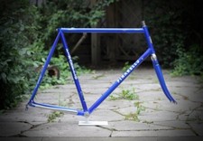 Pinarello Stelvio Frame / 60,5 cm / Mid Blue  / Kens Campagnolo gavia montello