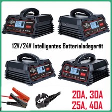 12V/24V 20A Intelligentes