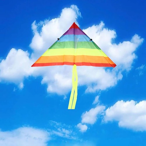 Easy fly bunter regenbogen - fly,