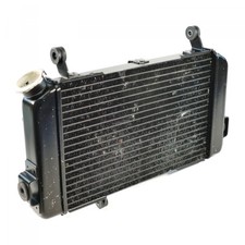 SUZUKI SV SV650 SV650S AV Kühler Wasserkühler nur 20840km