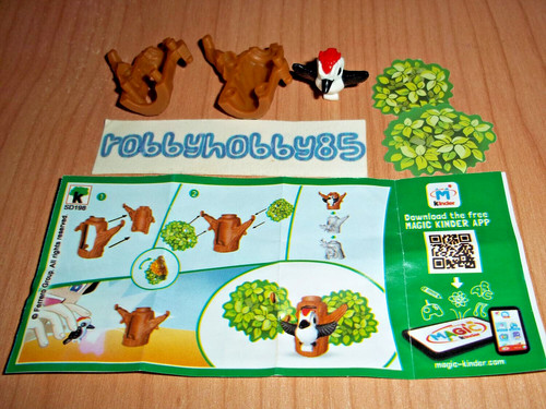 Sd198 picchio bpz - picchio,