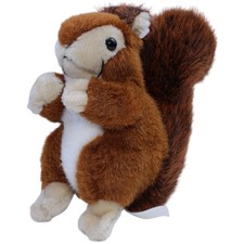 Süßes Eichhörnchen, sitzend