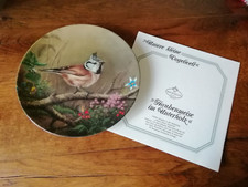 Tirschenreuth Zier Teller Zierteller Sammelteller m. Zertifikat Haubenmeise 19cm