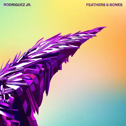 Rodriguez feathers - feathers, &