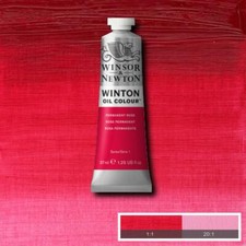 Winsor & Newton Winton