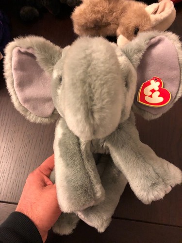 Beanie buddy spout der - beanie,