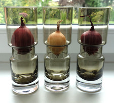 3 Glas Vasen Hyazinthenglas