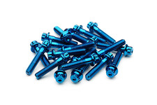 M7 32mm blue 3pcs rims screws
