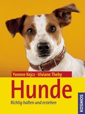 Hunde: Richtig halten und