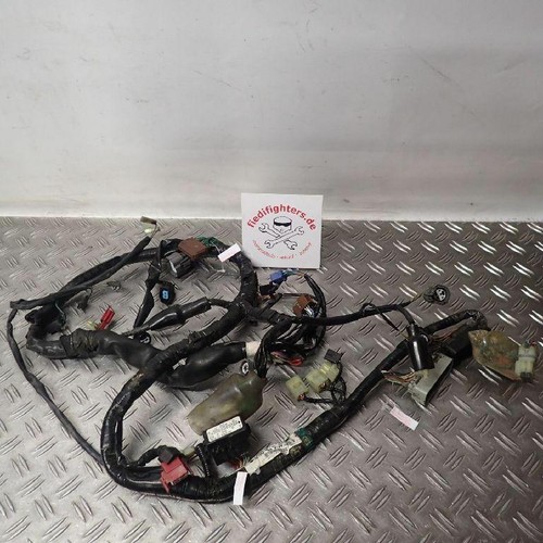 Hauptkabelbaum kabelbaum kabel - hauptkabelbaum,