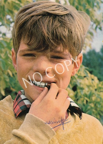 100 original autogramm - original,