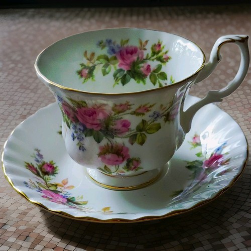 Royal albert moss rose - royal,