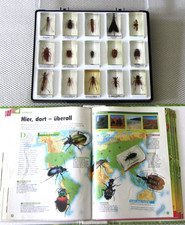 Sammlung 15 x Mini Biester Käfer Butterfly Insekten in Acryl + BOX Ordner Hefte