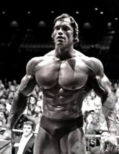 Arnold Schwarzenegger
