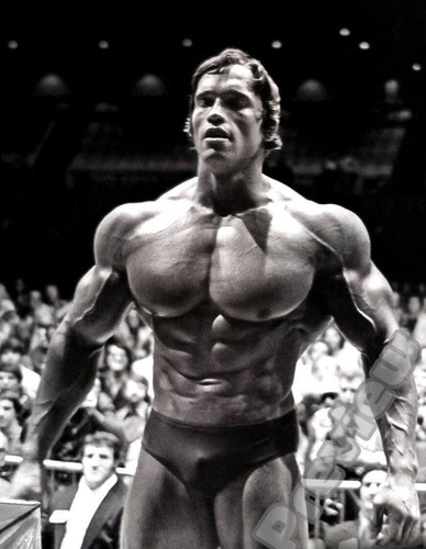 Arnold schwarzenegger - arnold,