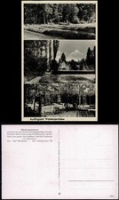 Ansichtskarte Wüstenjerichow-Möckern Forellenteich, Gasthof, Schloß 1938