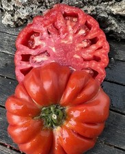 TOMATE ANTICO DI LOMBARDIA –