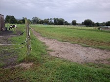 Offenstall für ein Pferd, keine Pferdebox.