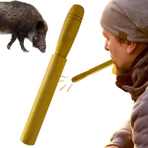 Wildschweinefleisch ruft die