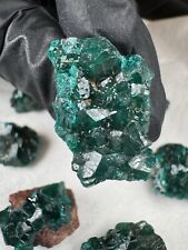 30 Karat Dioptas Edelstein Natur Glänzende Qualität Kongo Katanga