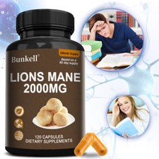 Lions mane kapseln - lions,