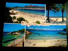 1 Ansichtskarte Playa de Muro