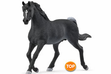 SCHLEICH Horse Club | Araber