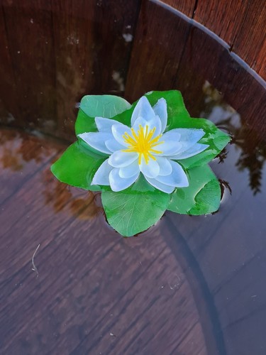 Künstliche seerose weiß - seerose,