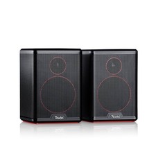 Teufel Effekt | 1 Generation | 2-Stück | Class-D-Verstärker | Schwarz | SEHR GUT