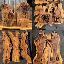 Olivenholz Baumscheibe Holz