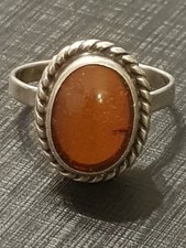 Fischland Ring Bernstein