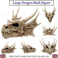 Große gehörnte Drache