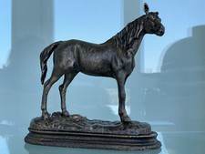 Pferd Farbe Gold Bronze