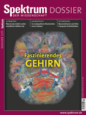 Spektrum der wissenschaft - der,