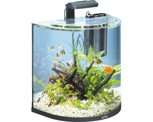 Aquarium tetra aquaart - aquarium,