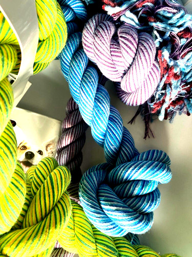Happy pet nuts for knots - pet, s