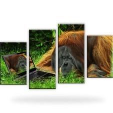 Affe vs Notebook Bild / Gerahmt / Orang-Utan / Bilder